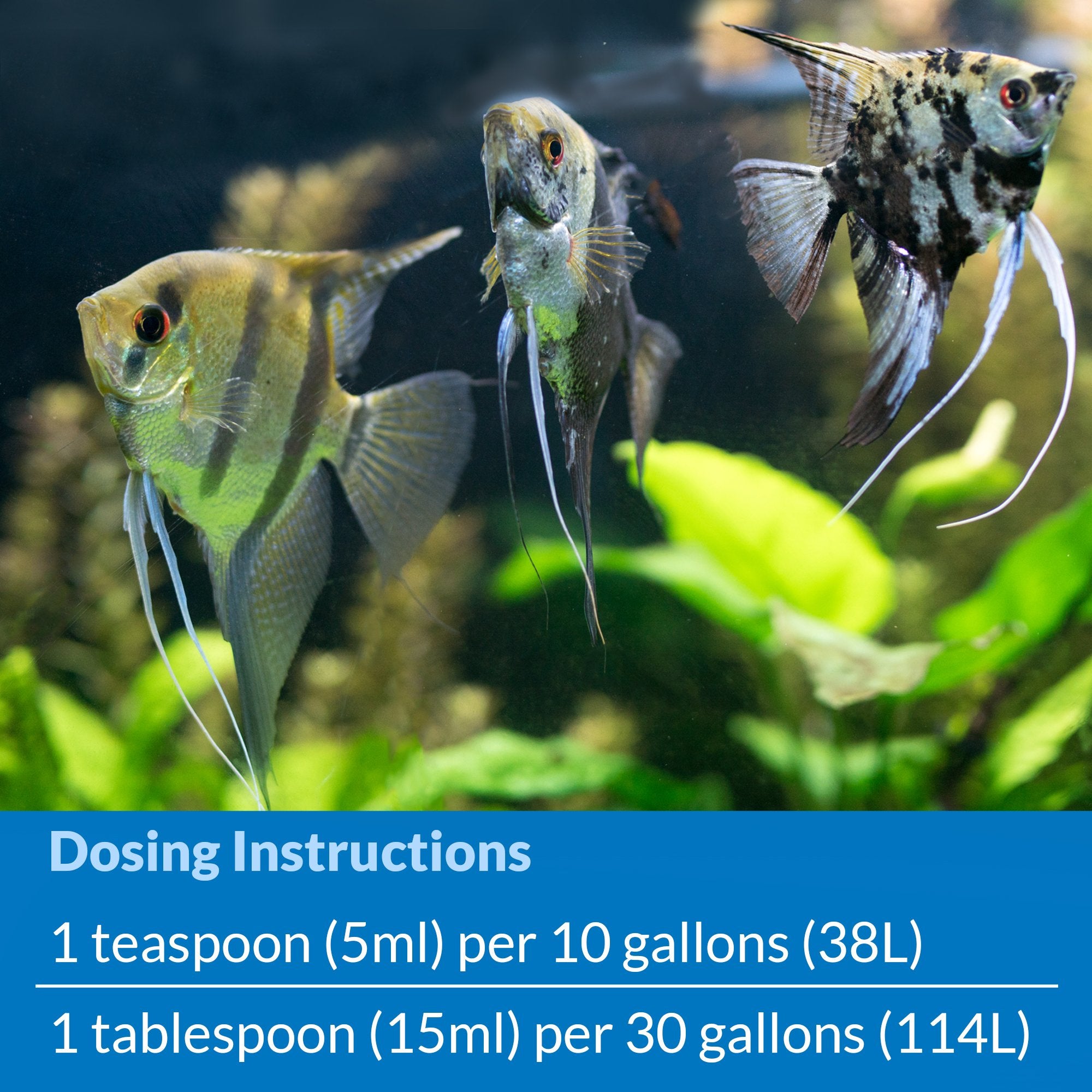 API Stress Coat en usage pendant un changement d'eau protégeant les poissons