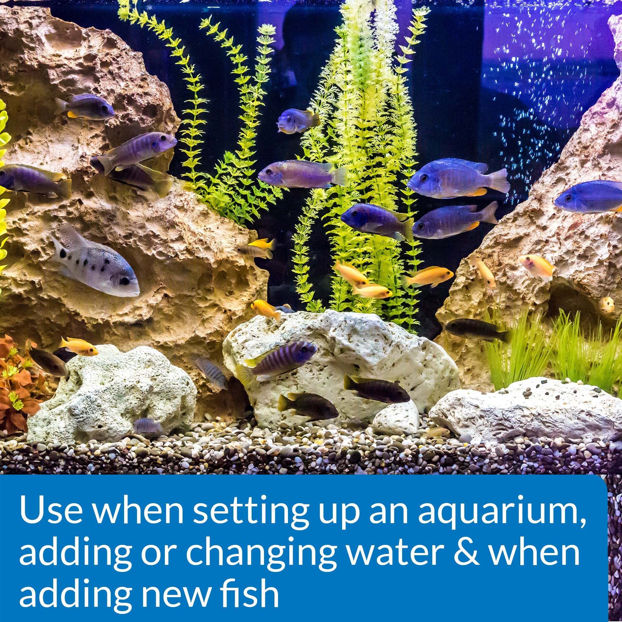 API Stress Coat goutte tombant dans l'eau sécurisant instantanément l'aquarium