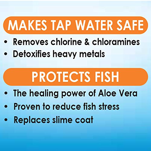 API image d'aloé vera associée au produit, soutien apaisant pour poissons