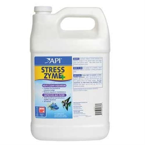 API Stress Zyme texture liquide goutte montre concentration efficace