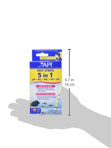 API scène d'aquariophile appliquant les tests pour aquarium sain