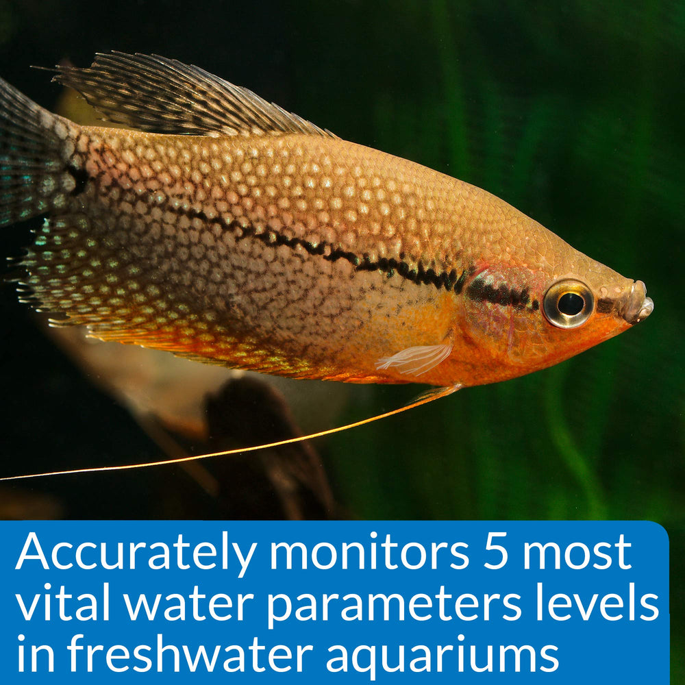 API démonstration d'utilisation dans un aquarium pour une maintenance simple