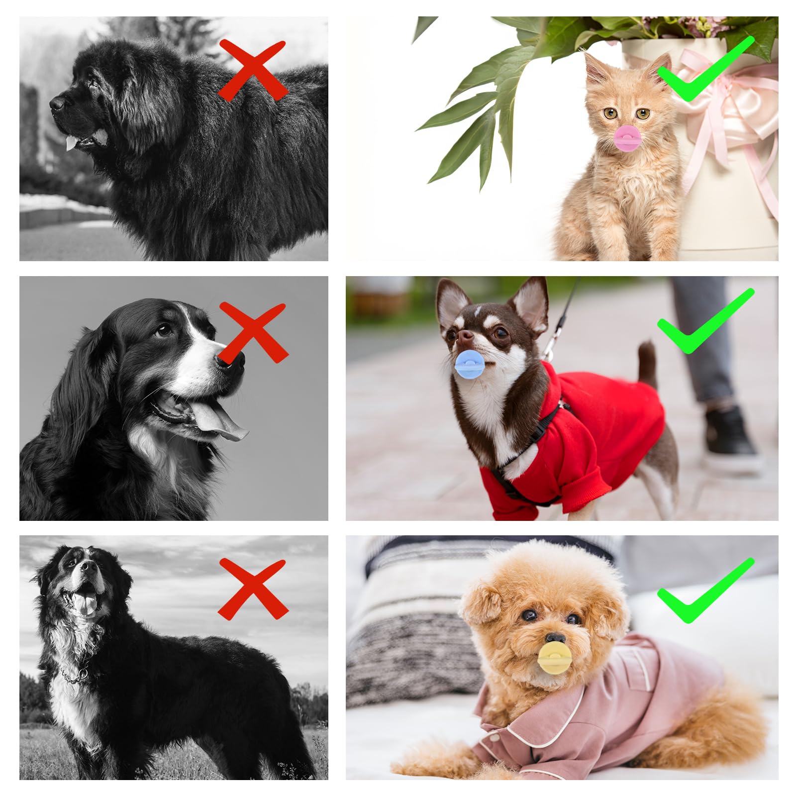 APLZGMG détail de la clochette interne, attire l’attention du chien