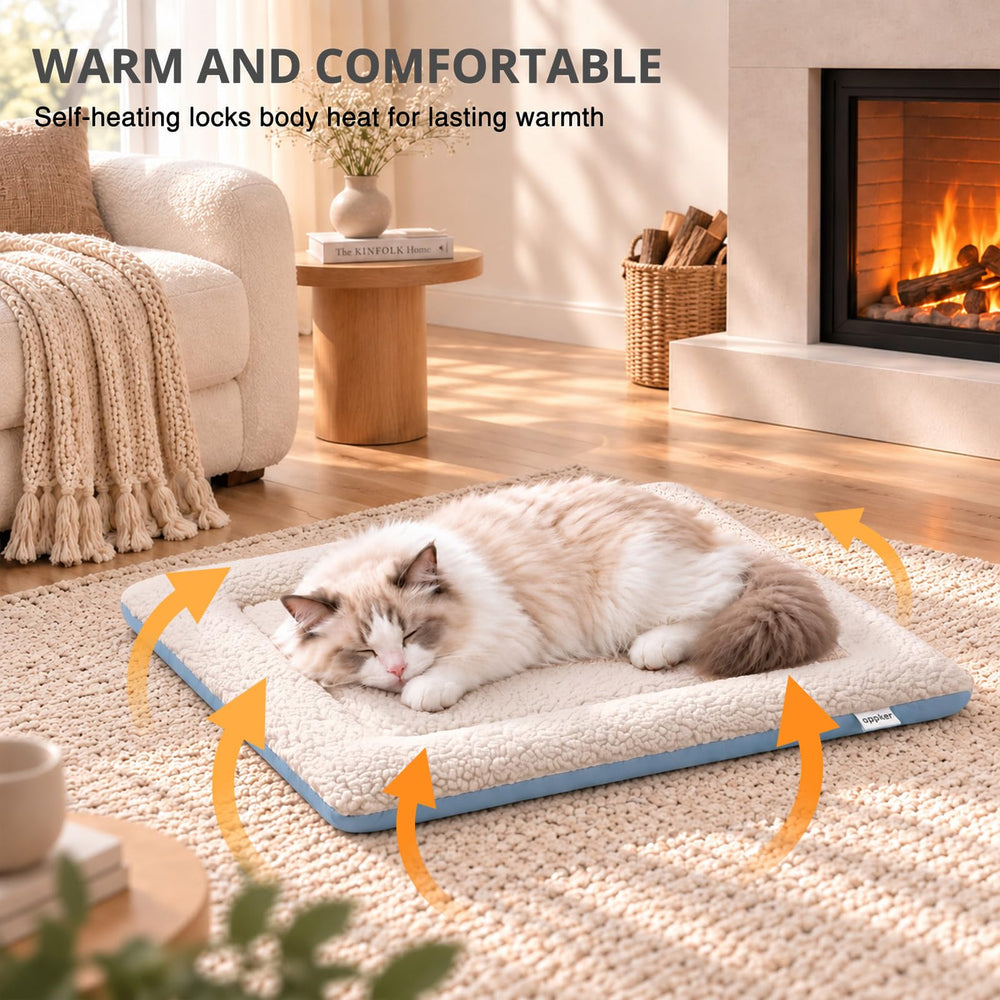 APPKER comparaison de taille du tapis avec objet courant pour échelle