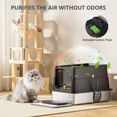 APPKER chat entrant par l'accès frontal illustrant confort pour chats âgés