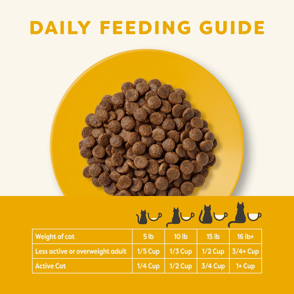 Applaws comparaison taille 1,8 kg à la main montrant format pratique pour maison