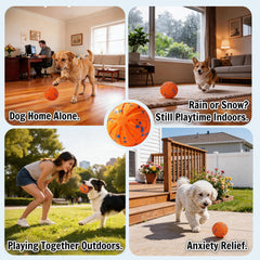 Chiot jouant avec la balle AptMutt, encourage stimulation mentale sécurisée