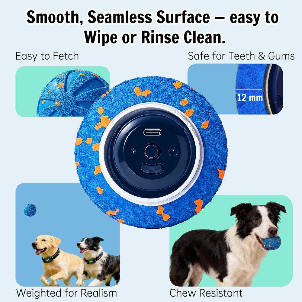 AptMutt chien jouant dehors montrant engagement physique sûr