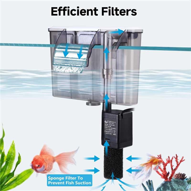 AQQA comparaison d’échelle montrant taille adaptée aux aquariums 20–30 gallons