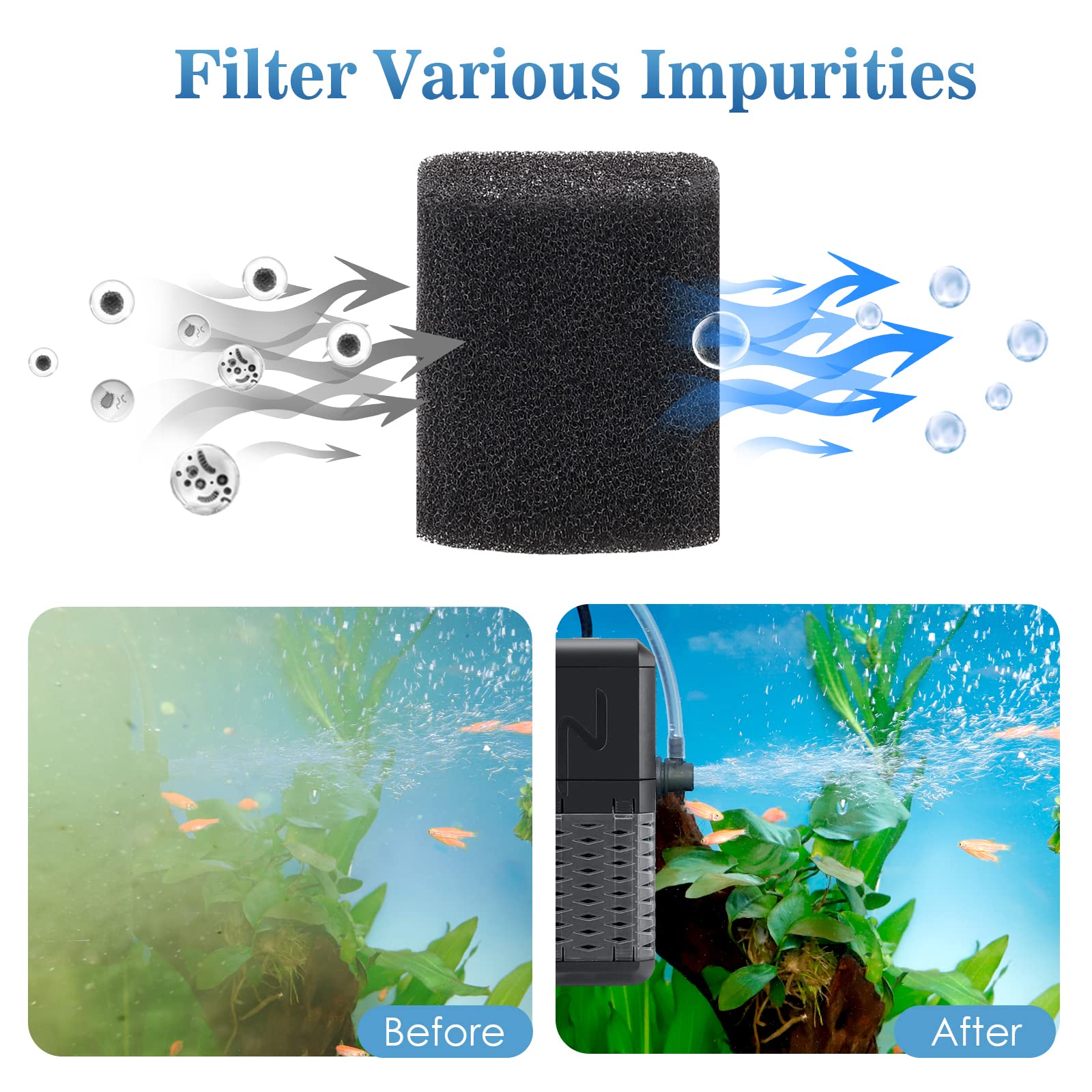 AQQA filtre en fonction dans aquarium assurant circulation douce