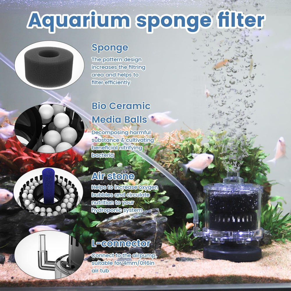 AQQA filtre en usage aquarium assurant circulation douce et oxygénation