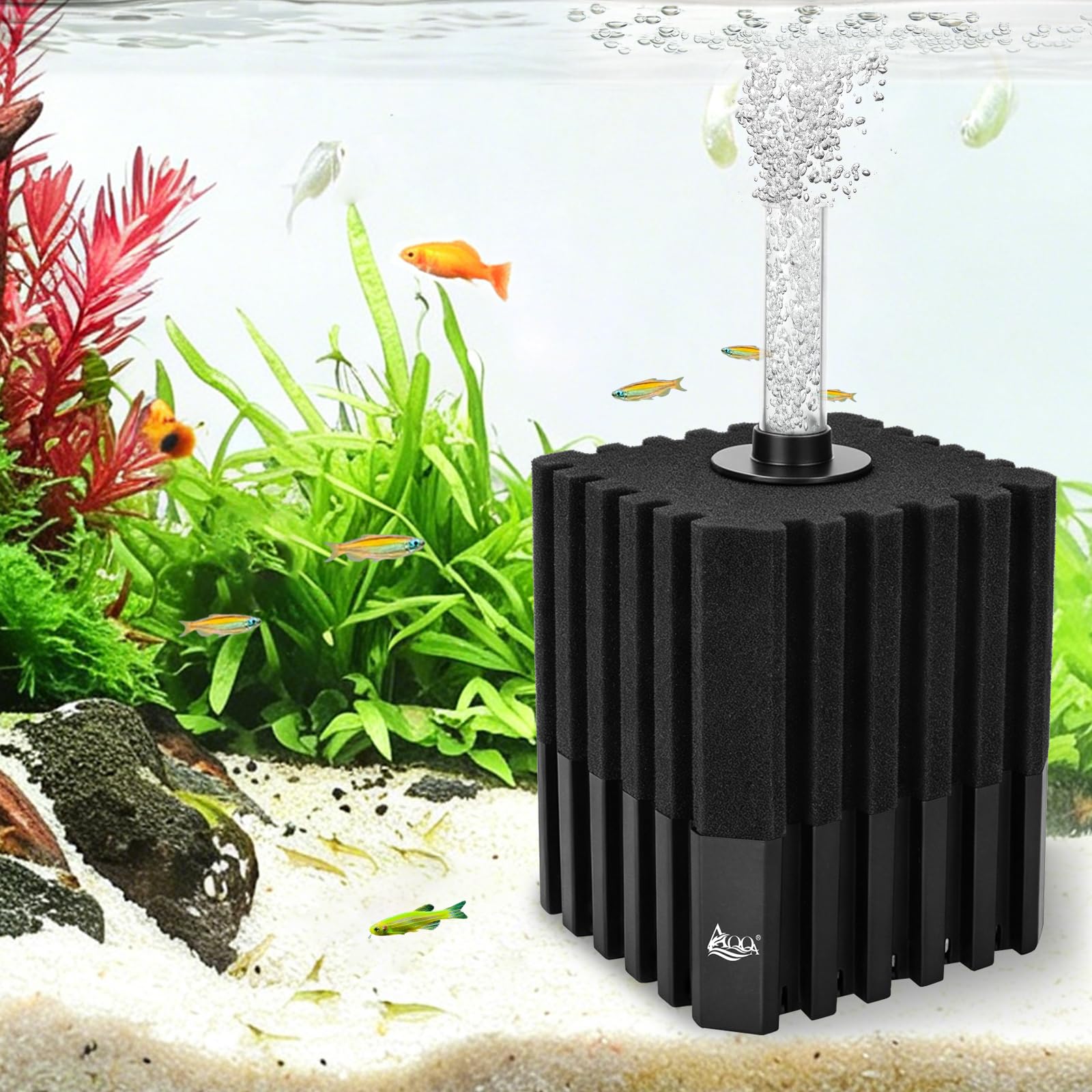 AQQA filtre éponge vue avant montrant design compact et performance