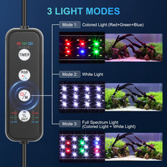 AQQA lampe allumée sur aquarium illustrant couleurs vives et atmosphère naturelle