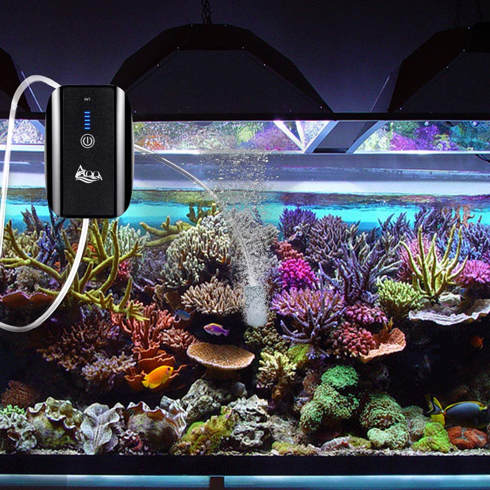 AQQA pompe à air en usage dans aquarium améliorant circulation d'oxygène