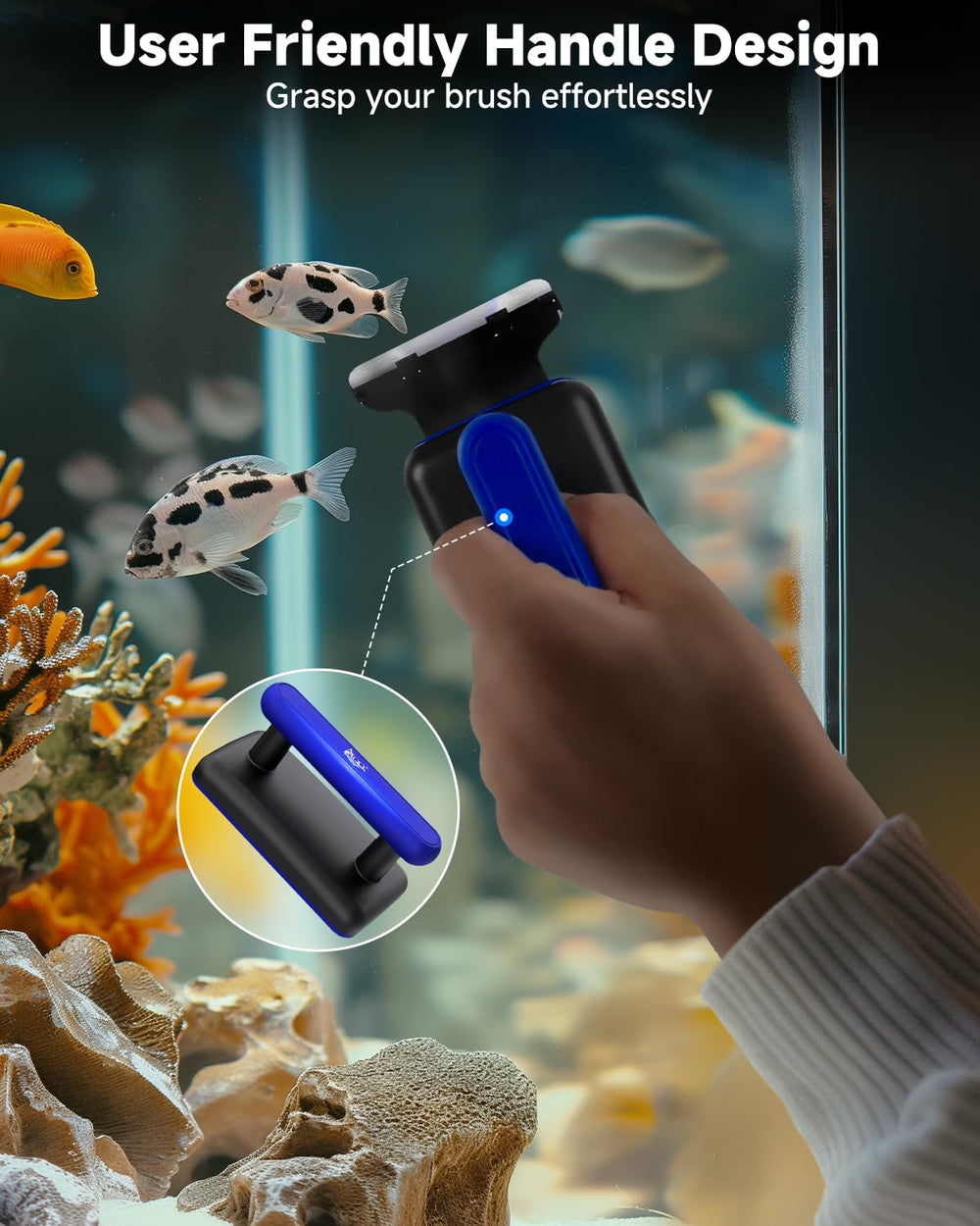 AQQA en action dans un aquarium en train d'enlever algues efficacement
