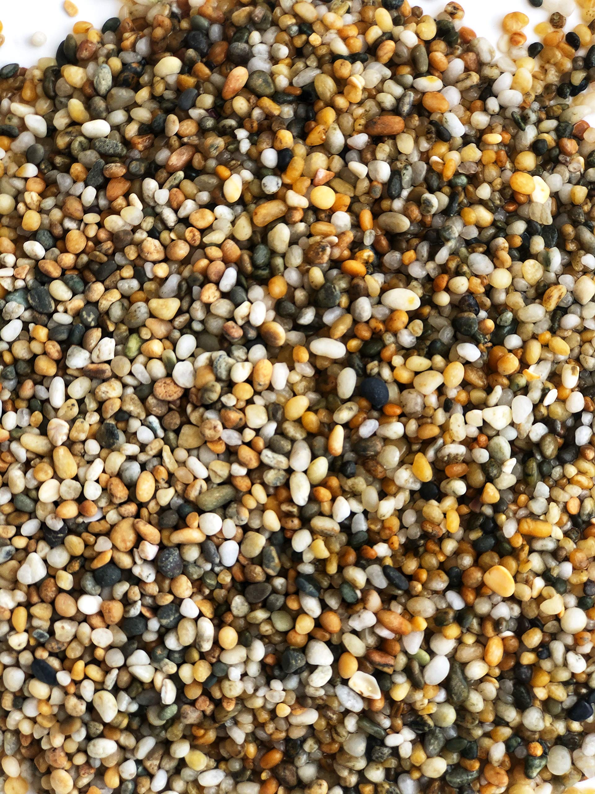 Aqua Natural étiquette détaillée montrant origine Nouvelle-Zélande et triple lavage
