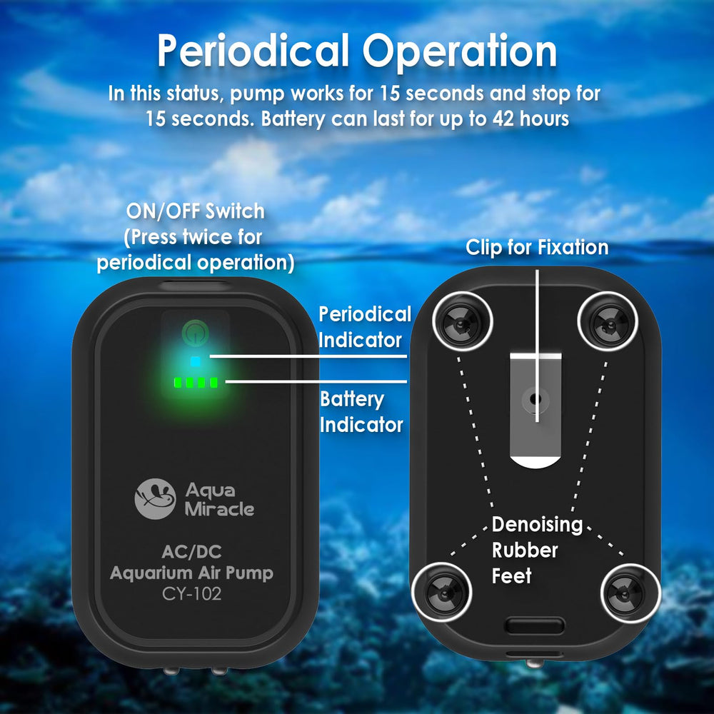 AquaMiracle en usage dans un seau d'appâts maintenant les poissons oxygénés