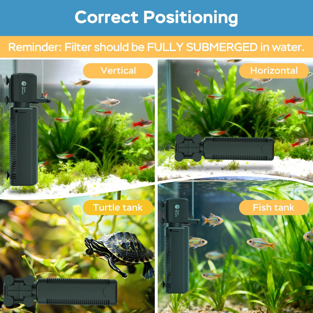 AquaMiracle filtre installé dans aquarium de tortues améliorant la clarté