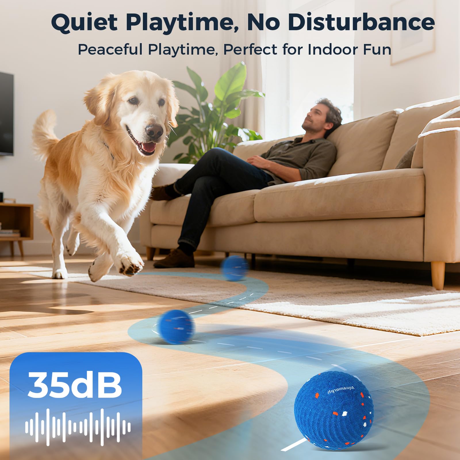 Aquamorph balle en jeu avec chien, activité physique et mentale encouragée
