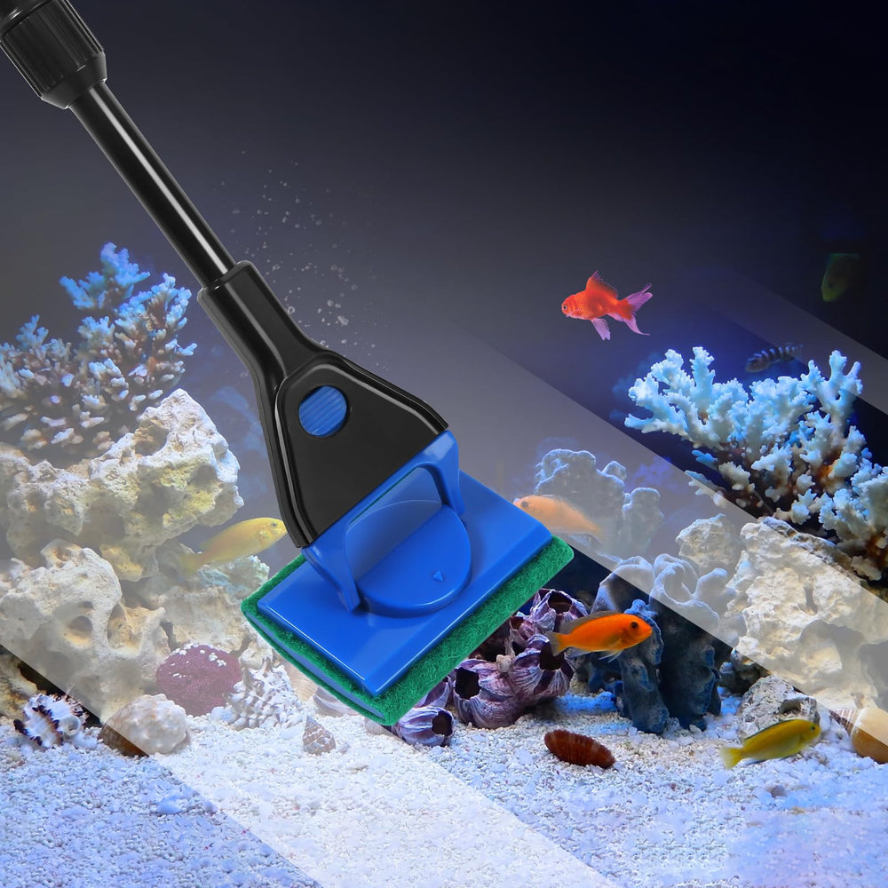 AQUANEAT brosse éponge pour frottage doux des décors