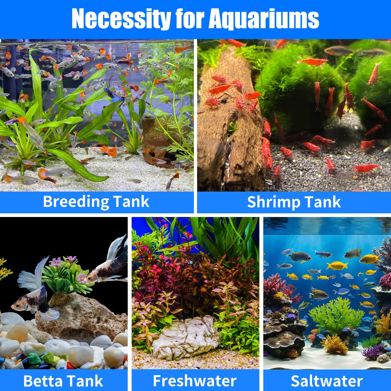 AQUANEAT préfiltre proche d'une règle montrant dimensions et compatibilité facile
