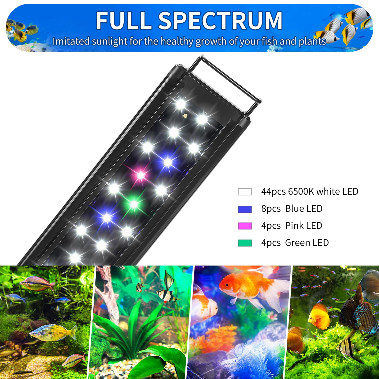 AQUANEAT gros plan LED montrant répartition pour couleurs riches