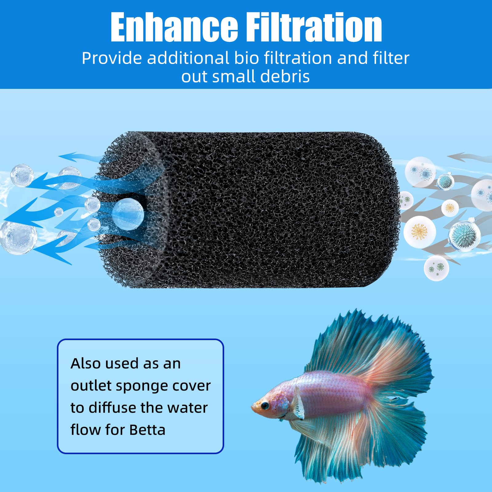 Comparaison de taille AQUANEAT avec ruban-mesure, confirme compatibilité 28–34 mm pour entrée