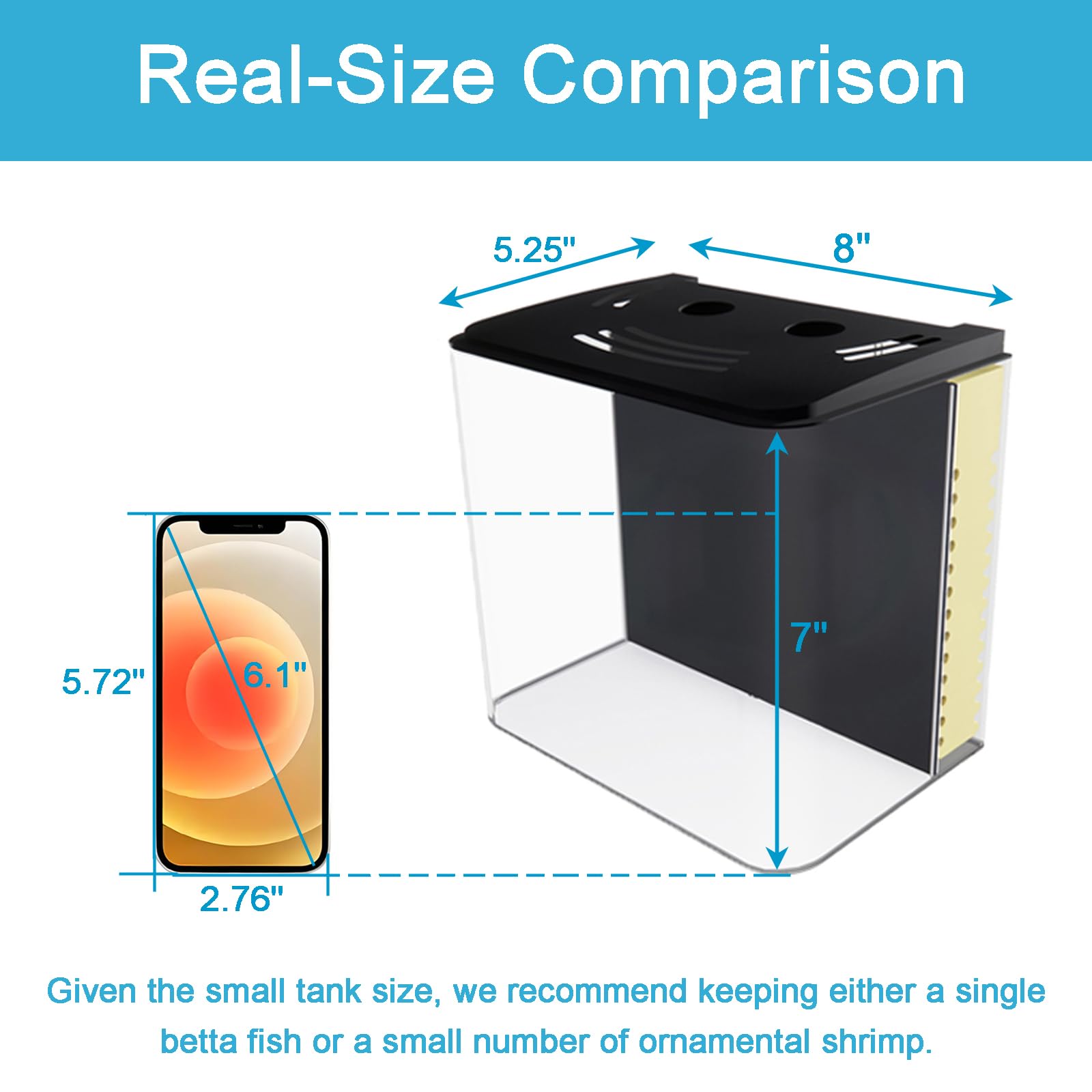 AQUANEAT comparaison d'échelle avec règle montrant la taille compacte