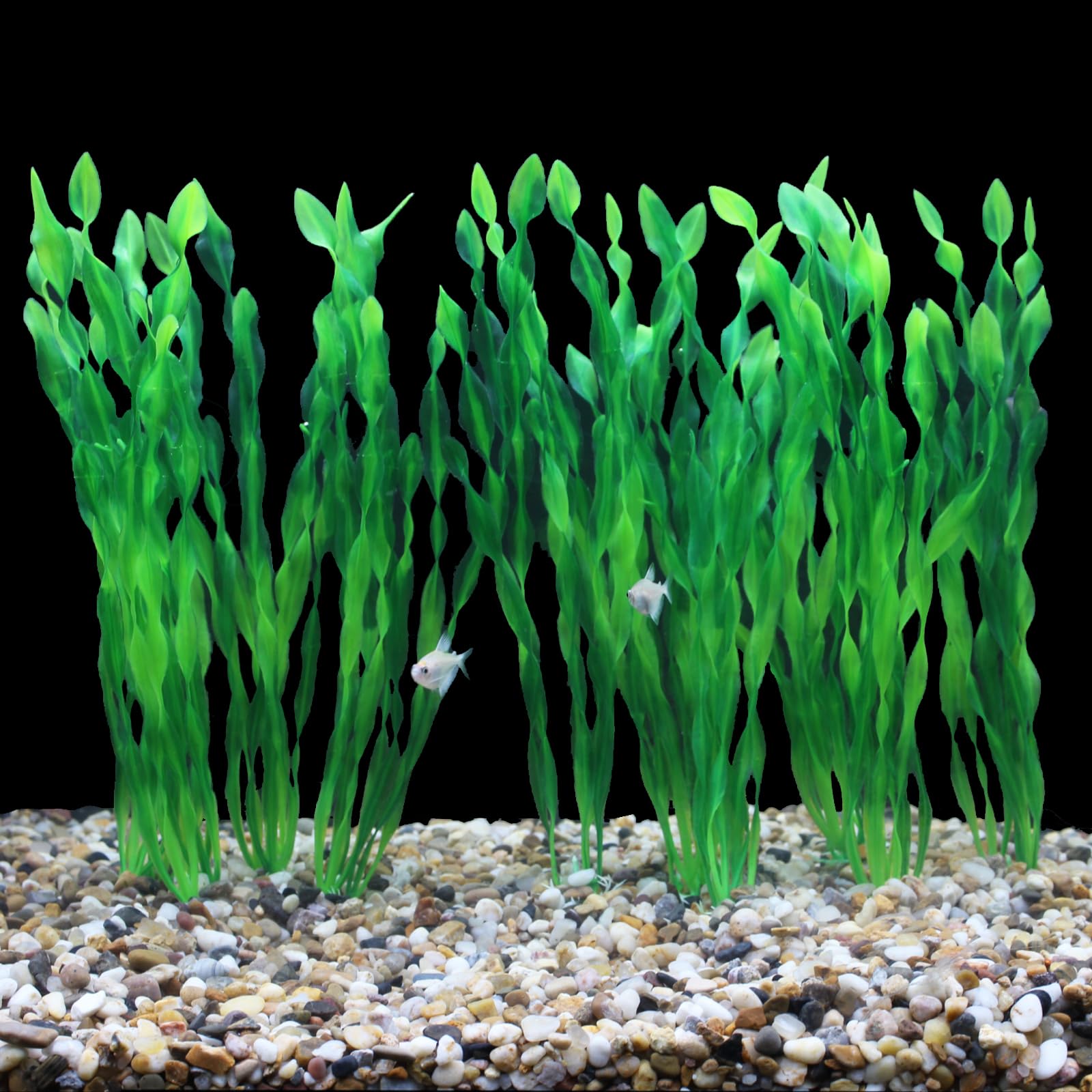 AQUANEAT comparaison d'échelle montrant hauteur 11,75 pouces