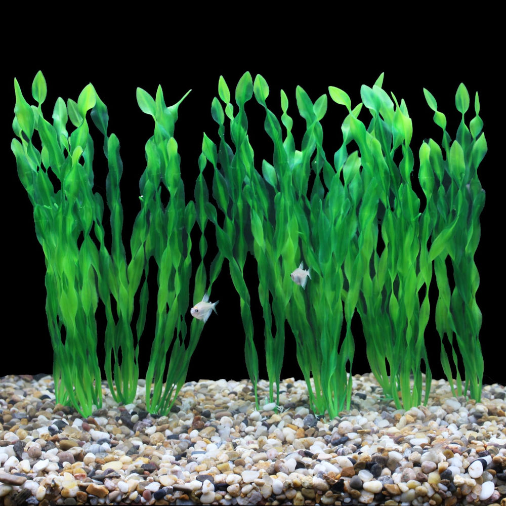 AQUANEAT comparaison d'échelle montrant hauteur 11,75 pouces