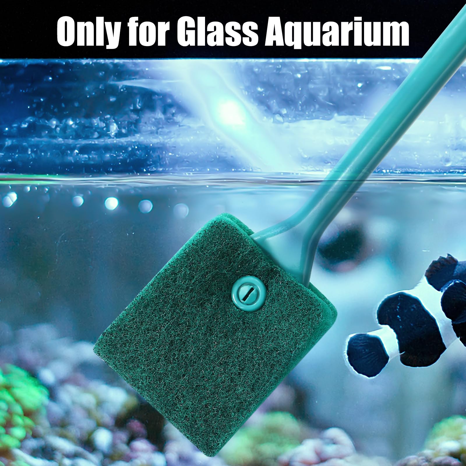 AQUANEAT brosse en usage nettoyant vitres d'aquarium rapidement