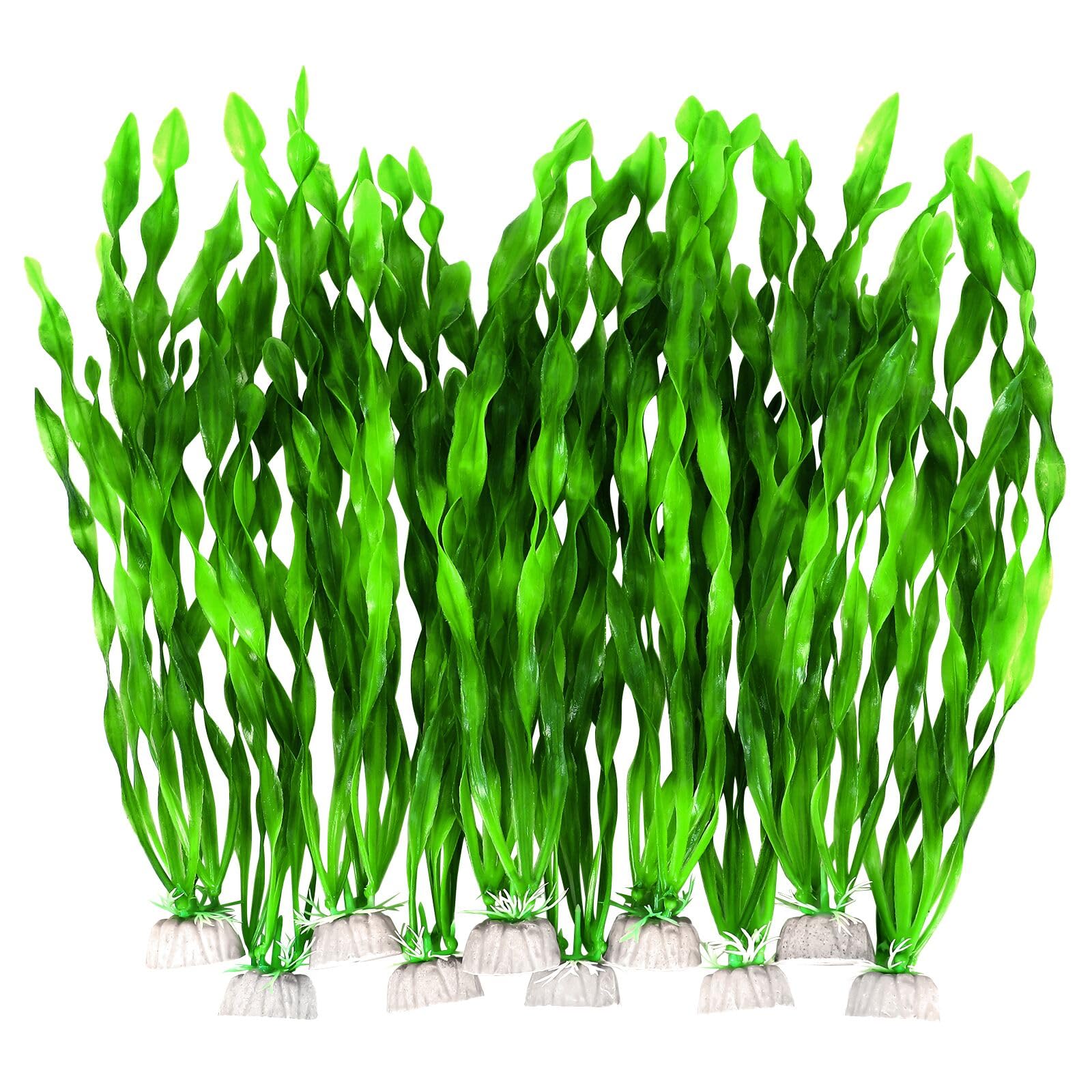 AQUANEAT face de l'emballage montrant lot de 10 pour décoration