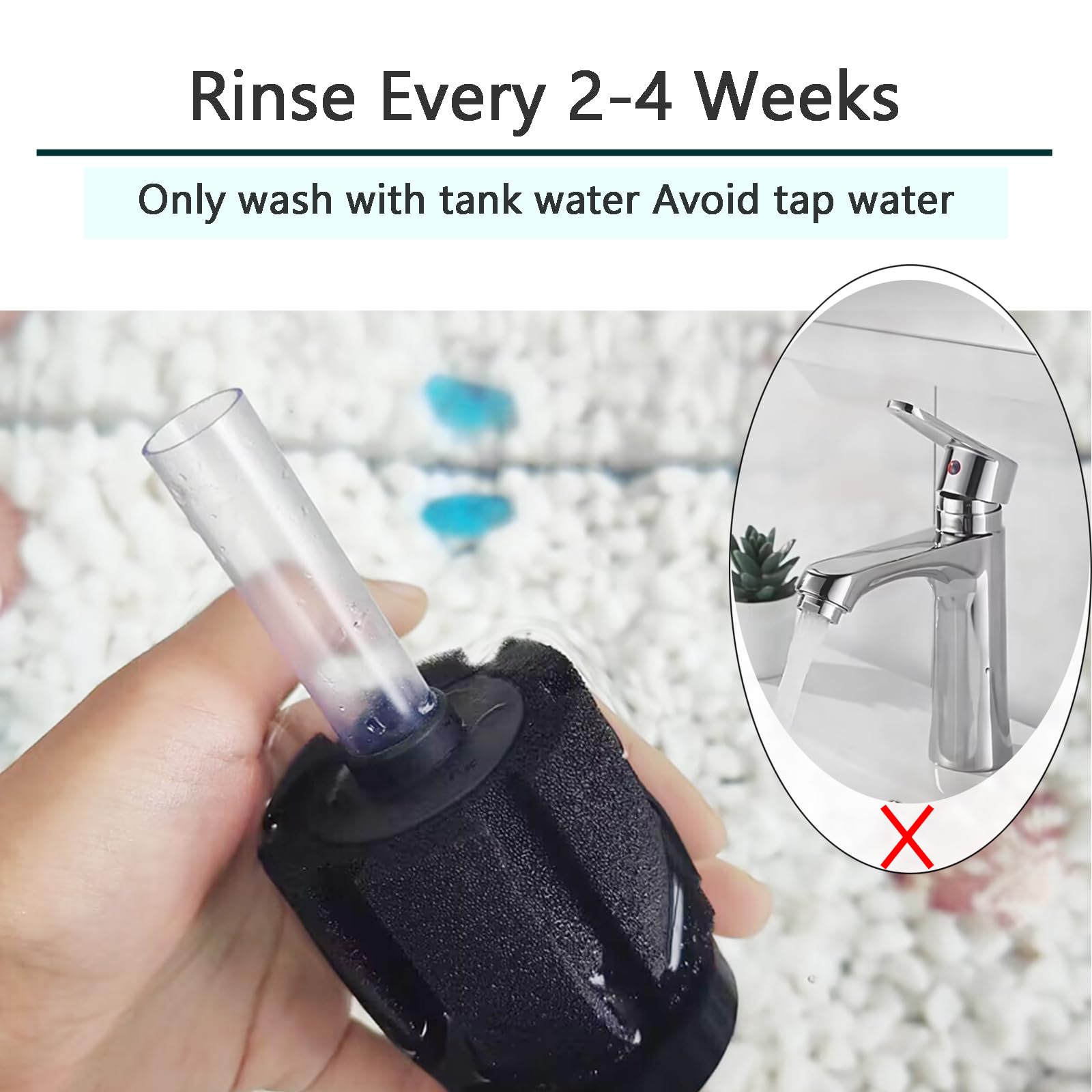 AQUANEAT fines bulles sortant de la chambre à air, meilleure oxygénation