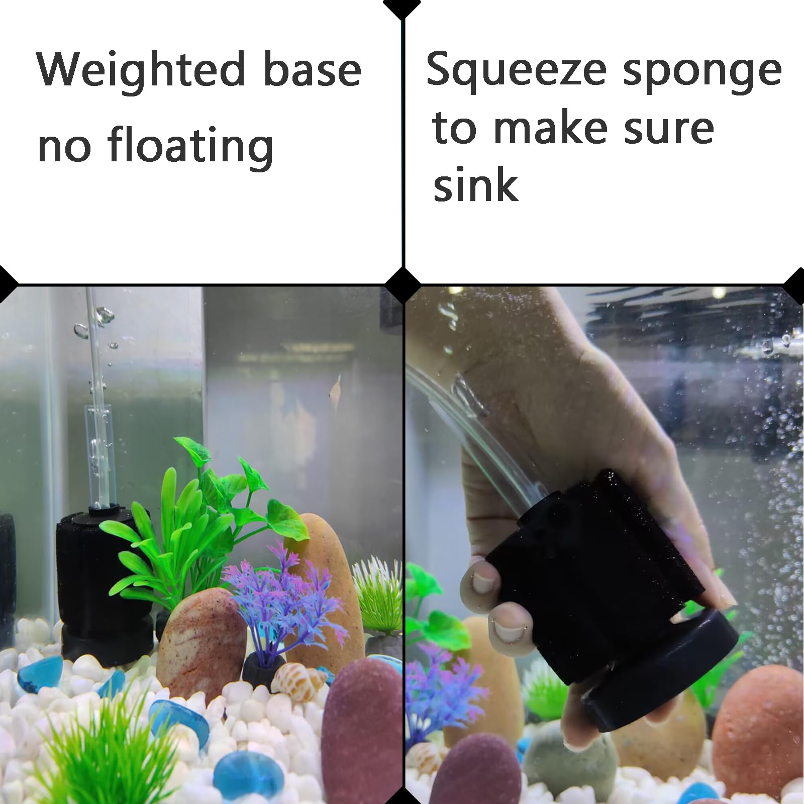 AQUANEAT filtre en situation, nano-aquarium pour betta et crevettes