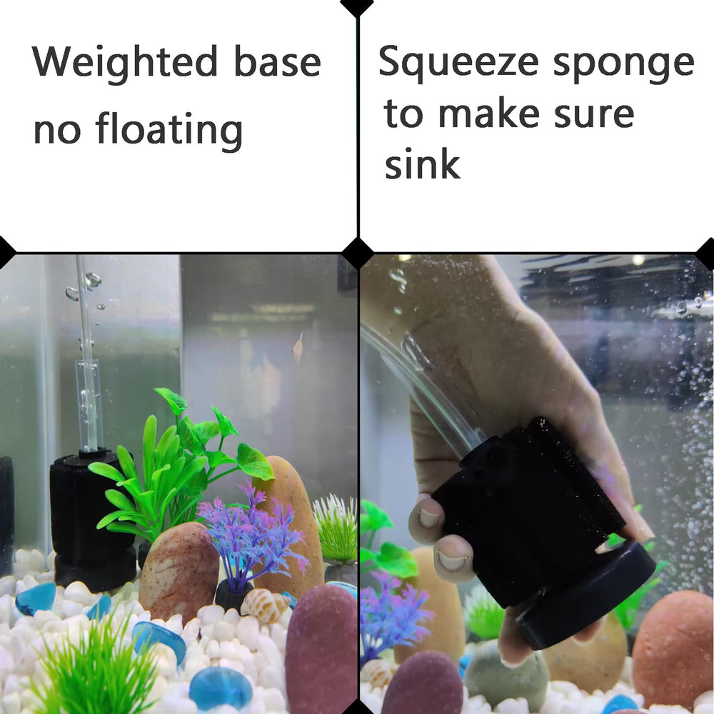 AQUANEAT filtre en situation, nano-aquarium pour betta et crevettes