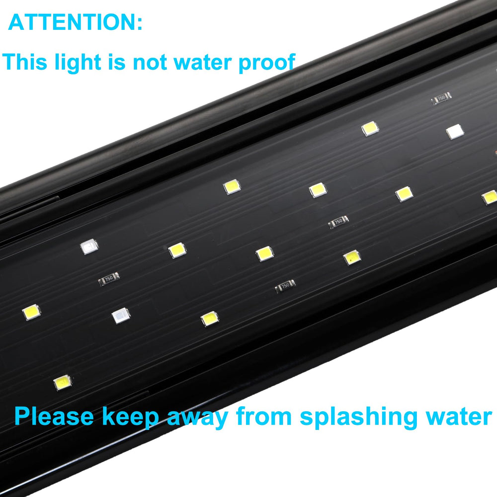 AQUANEAT lampe en usage la nuit accentuant couleurs des poissons