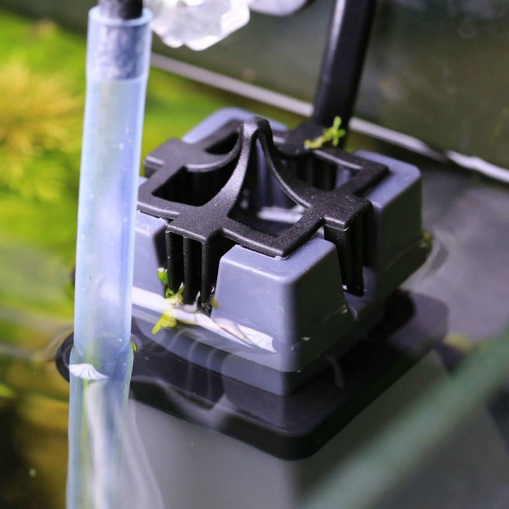 AQUANEAT en situation dans un aquarium montrant eau de surface plus nette