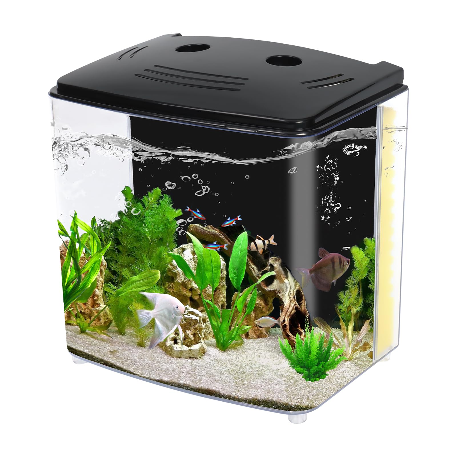 AQUANEAT vue de face montrant le couvercle LED et l'éclairage vibrant