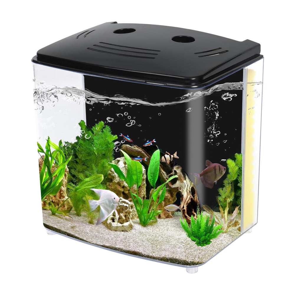 AQUANEAT vue de face montrant le couvercle LED et l'éclairage vibrant