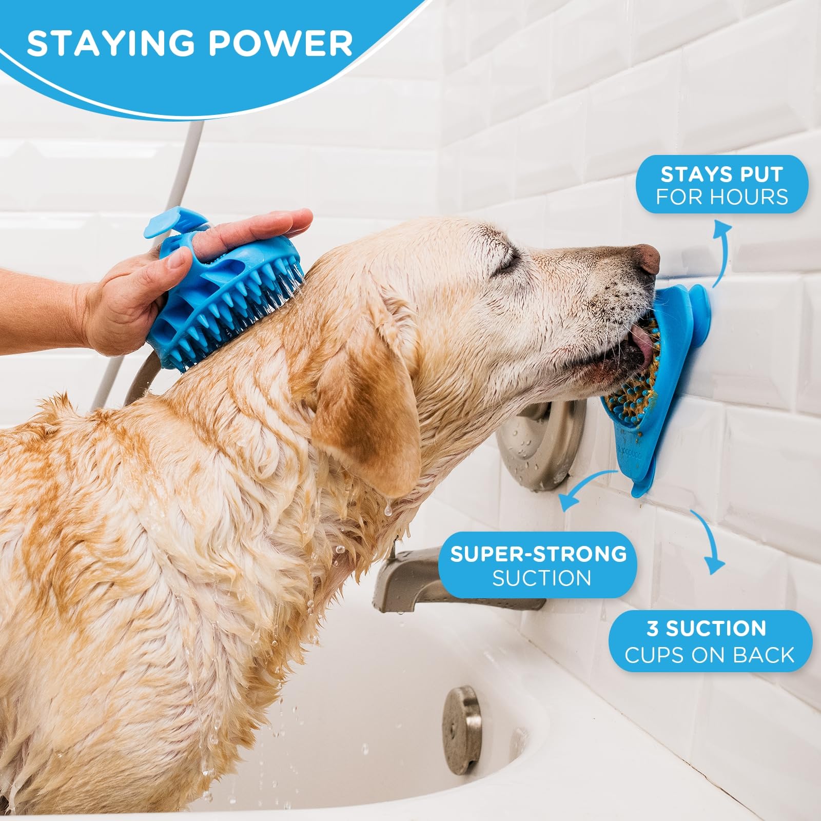 Aquapaw en usage dans baignoire pour calmer le chien durant le bain