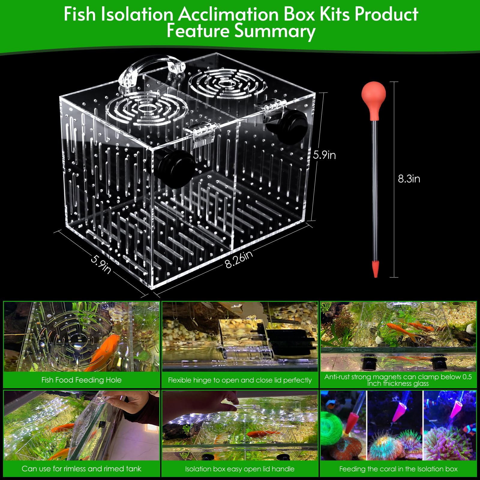 Aquarium Choice boîte en usage dans un bac récifal pour réduire le stress des poissons
