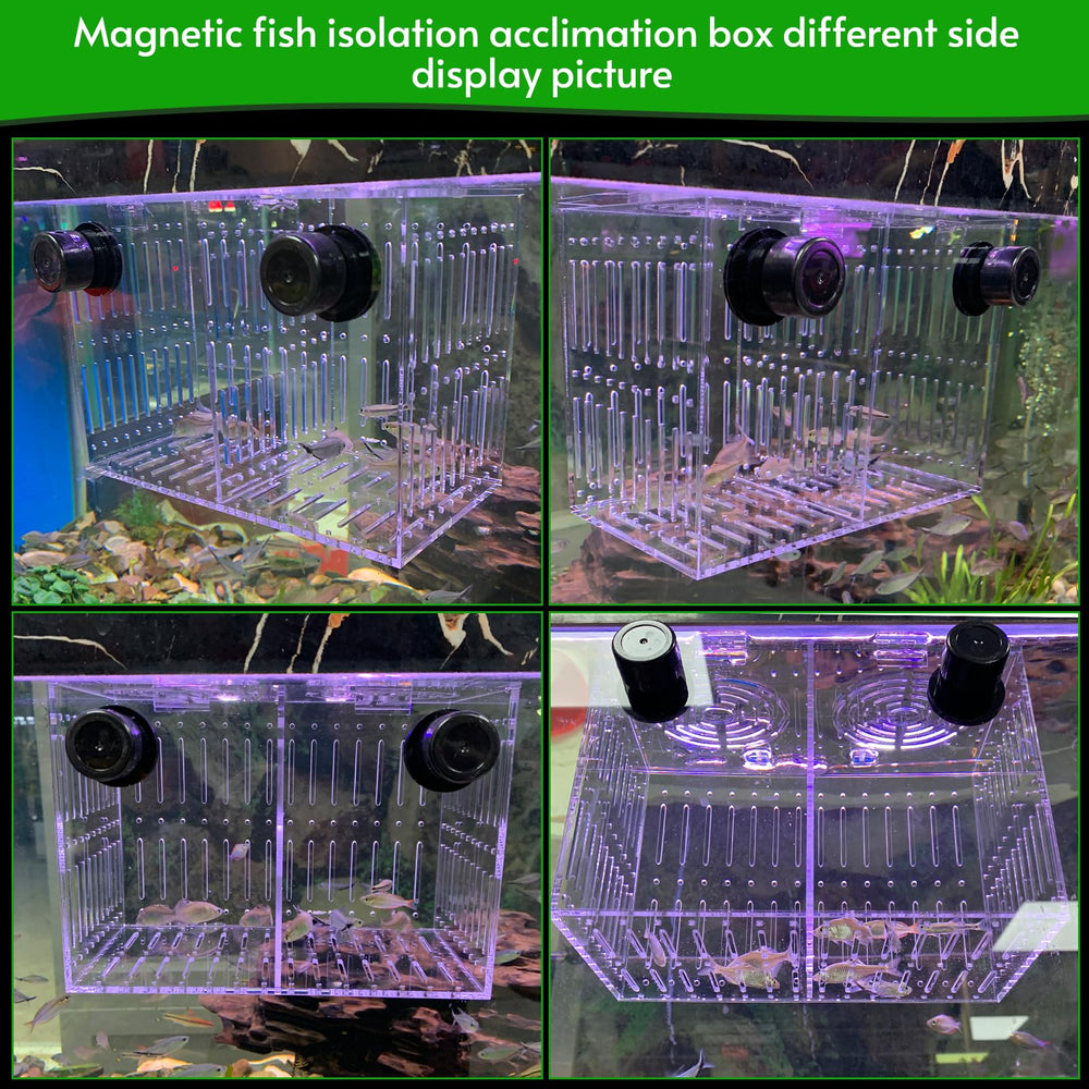 Aquarium Choice intérieur avec plaque séparatrice amovible pour isolation individuelle