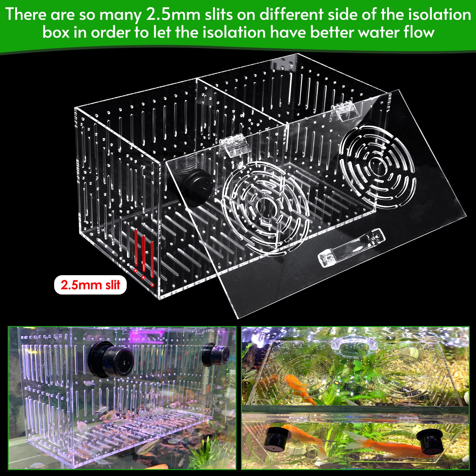 Aquarium Choice comparaison taille avec règle, dimensions compactes pratiques