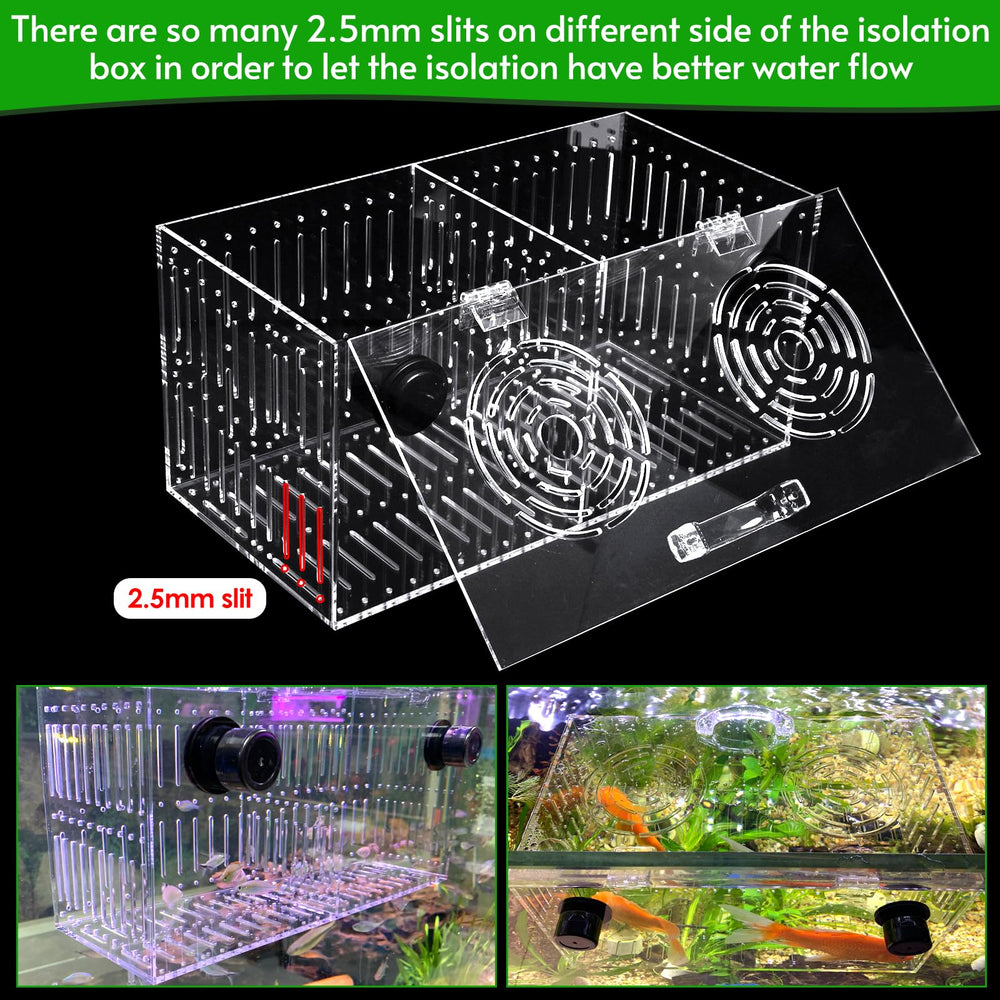 Aquarium Choice comparaison taille avec règle, dimensions compactes pratiques