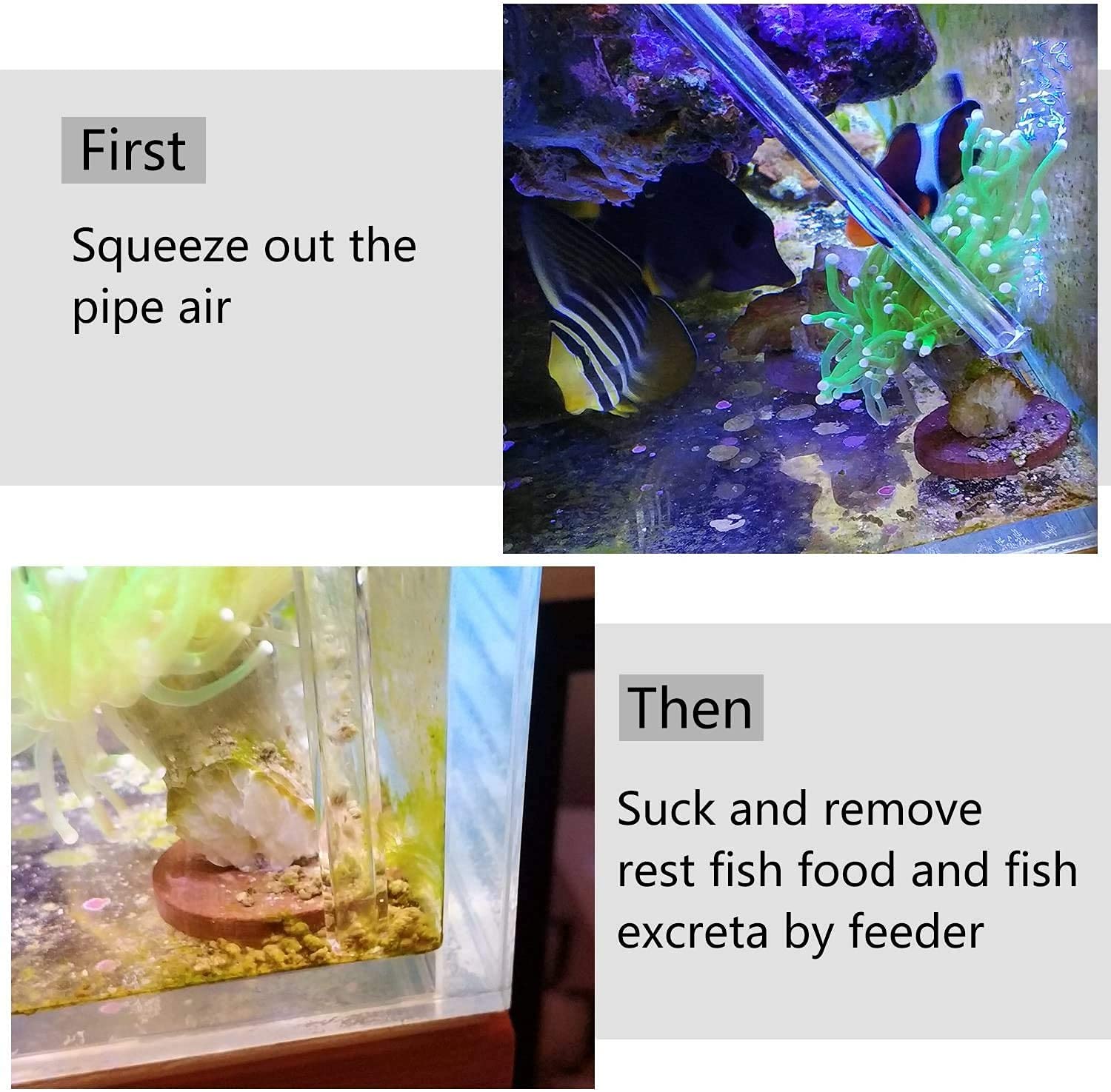 Aquarium Choice kit complet pièces prêtes à l'emploi et faciles à nettoyer