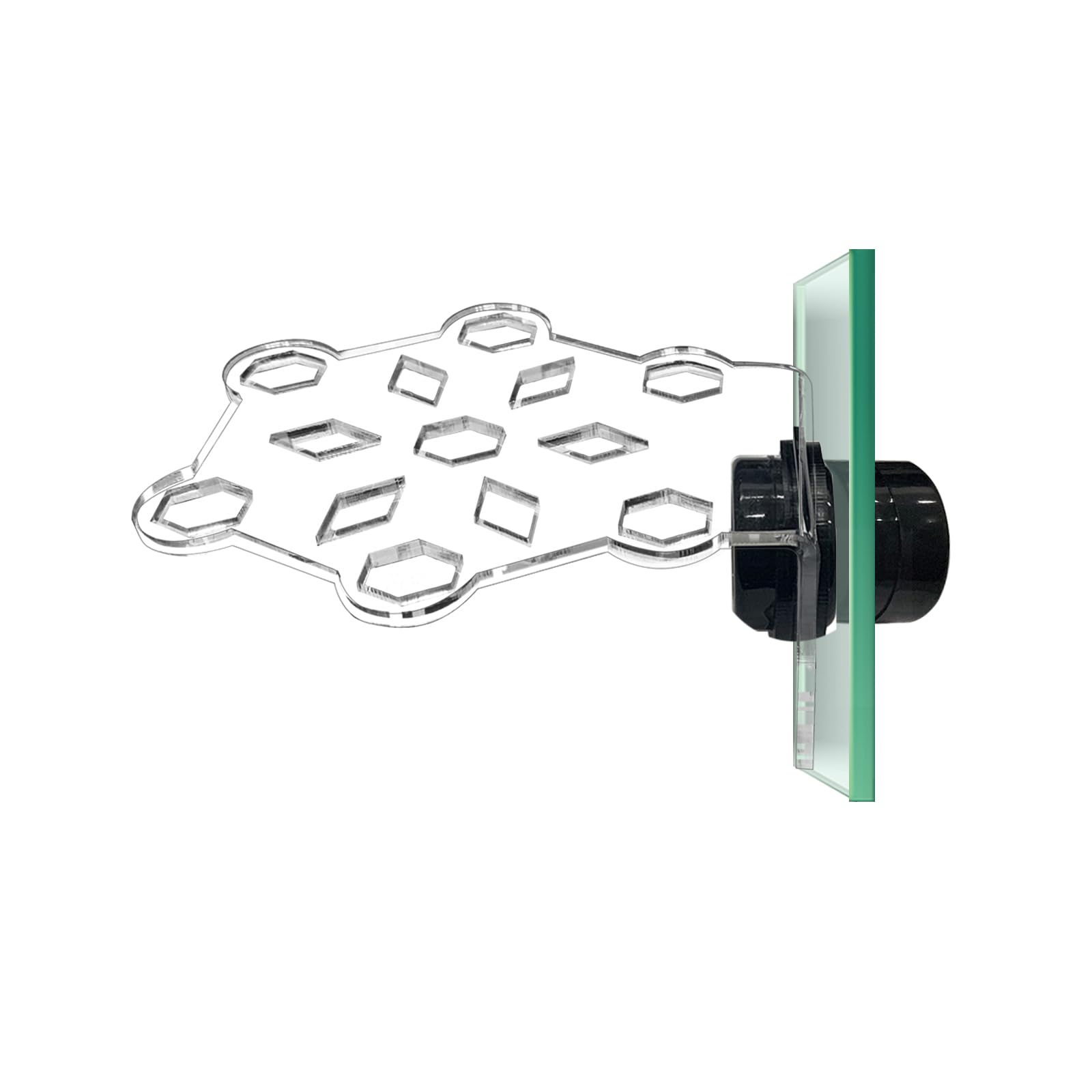 Aquarium Choice plugs de corail installés sur le rack, organisation visible