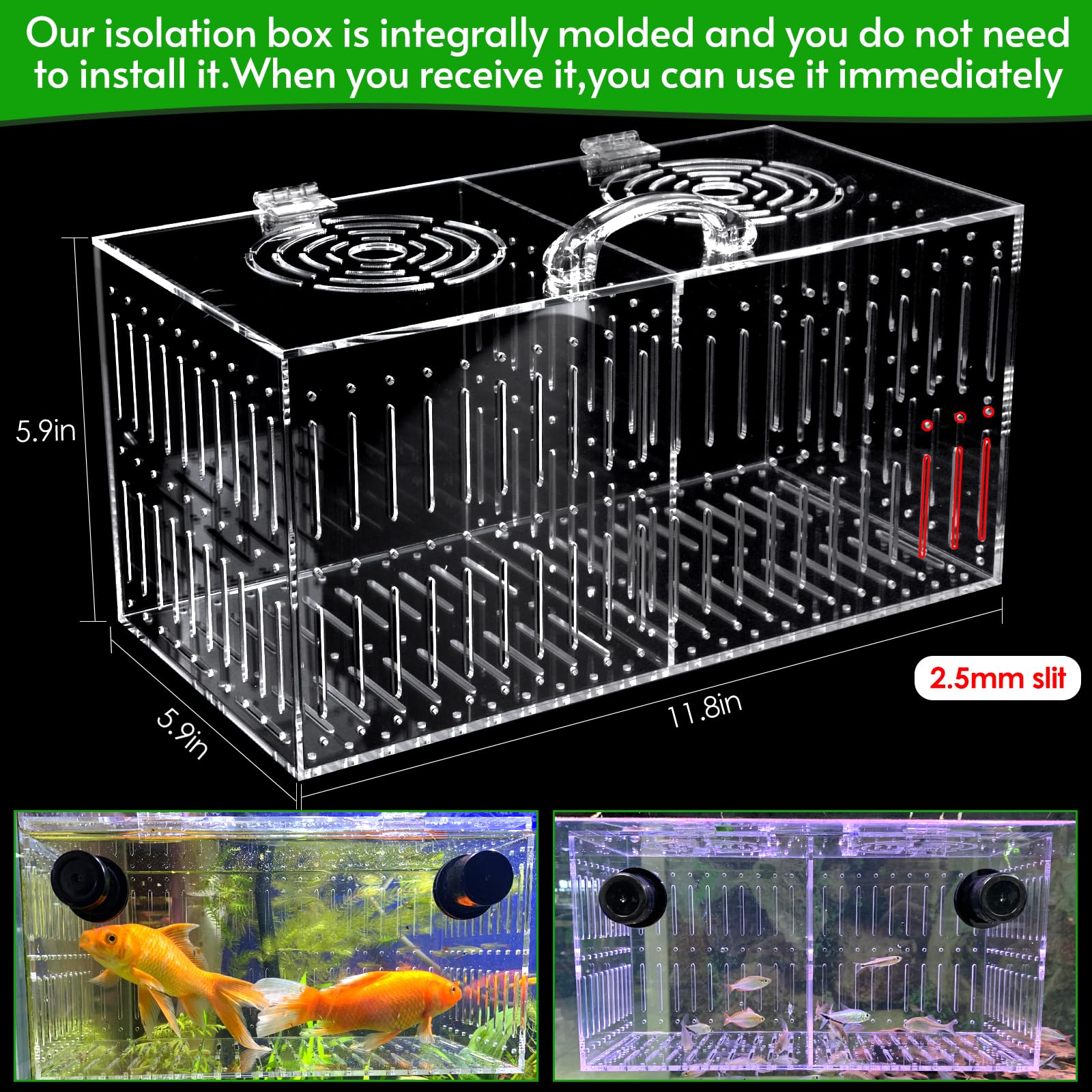Aquarium Choice tube de nourrissage et couvercle, alimentation ciblée facile
