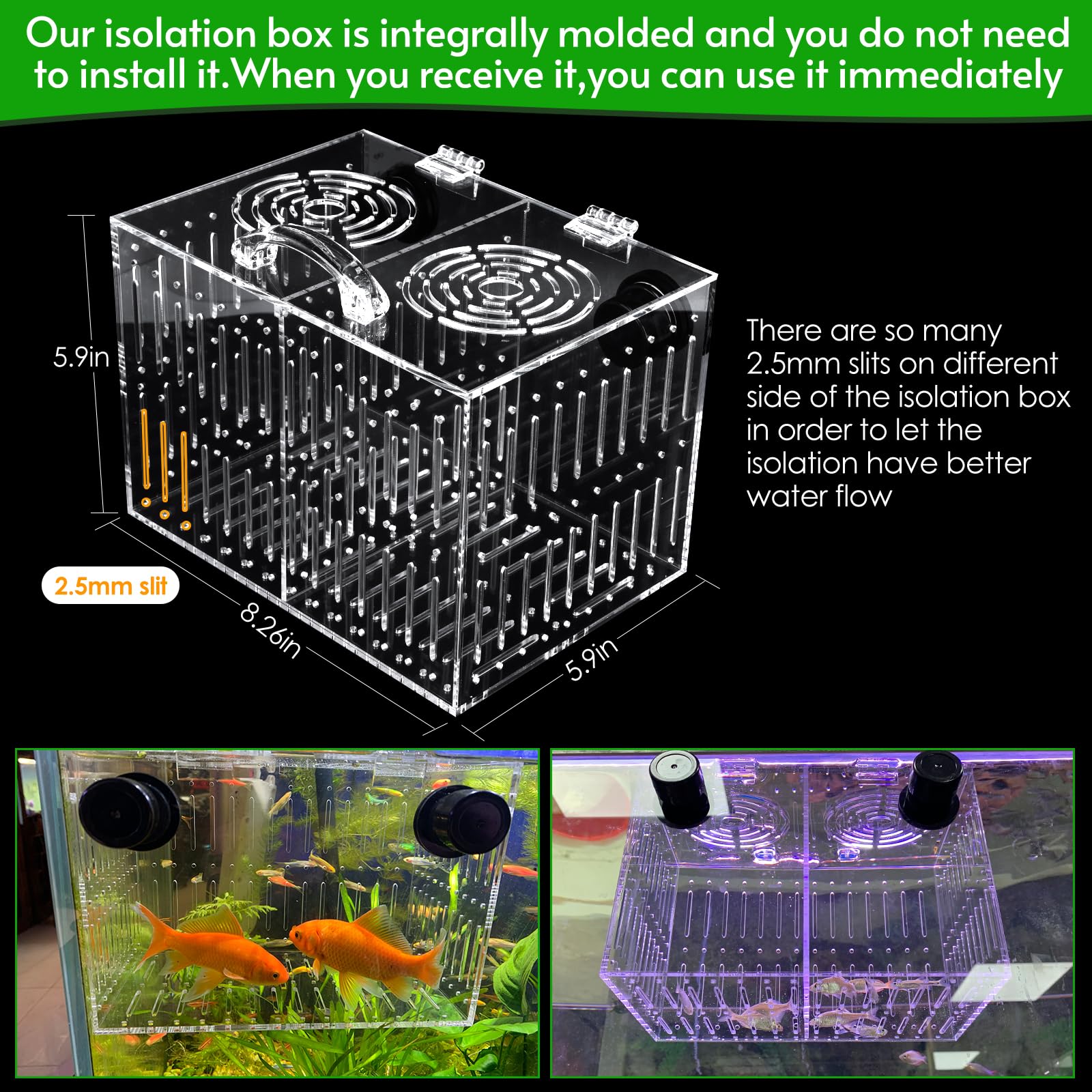 Aquarium Choice tube de nourrissage inclus facilitant l'alimentation ciblée des coraux