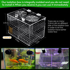 Aquarium Choice tube de nourrissage inclus facilitant l'alimentation ciblée des coraux