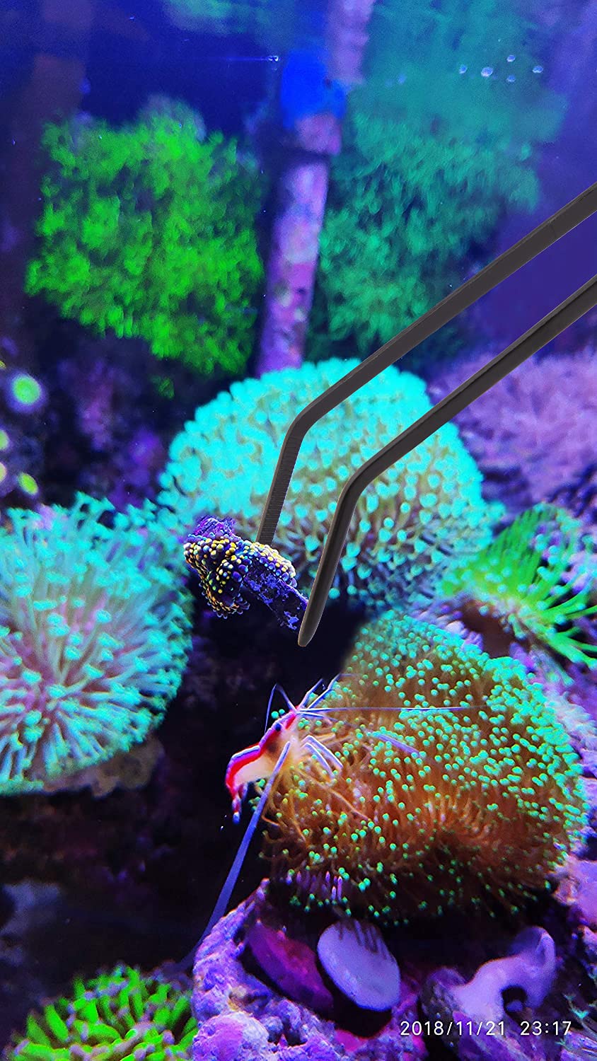 Aquarium Choice tubes acryliques détail résistance et sécurité